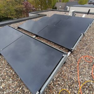 472790032_1321772962309979_6653405698551655935_n